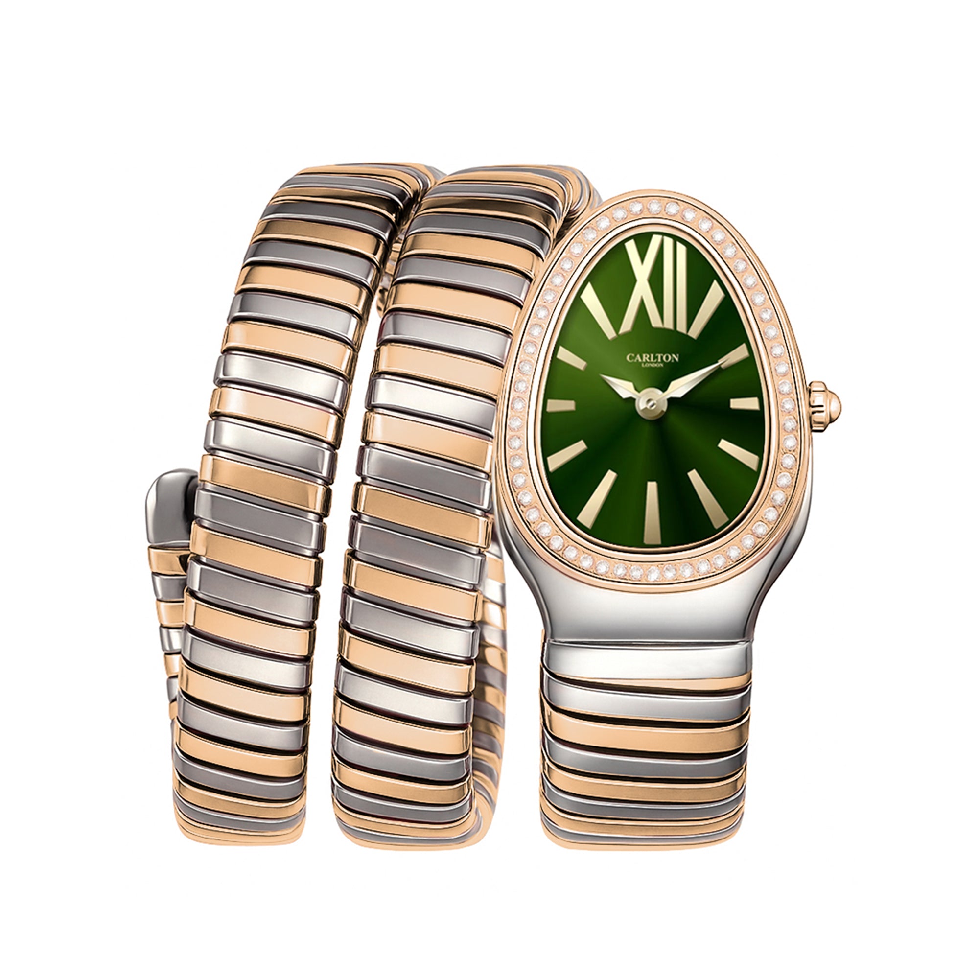 Charmer Women Dark green Dial Analog Watch - CLW-SNK-A6-DGN