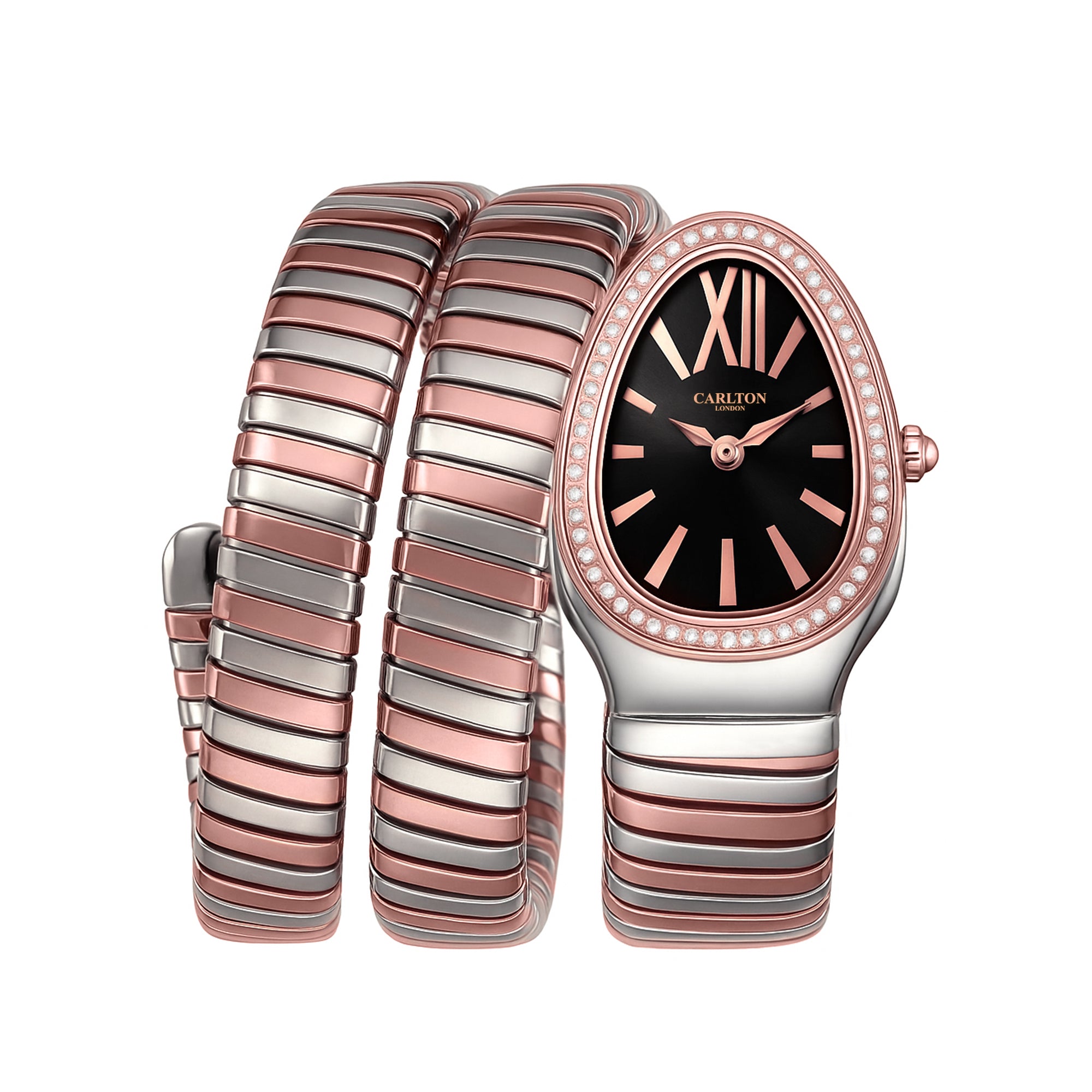 Charmer Women Black Dial Watch - CLW-SNK-A1BK