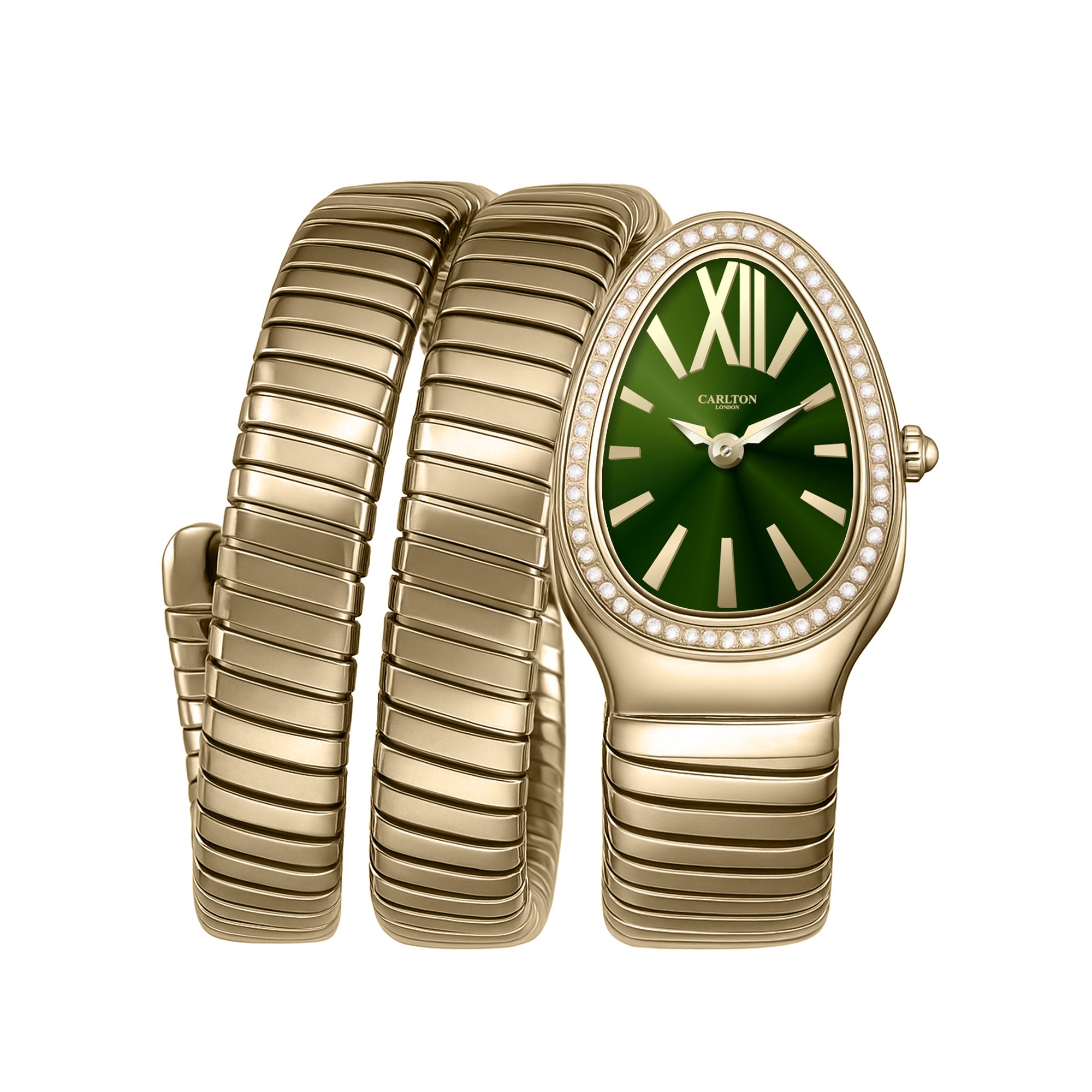 Carlton London Charmer Women Green Dial Watch