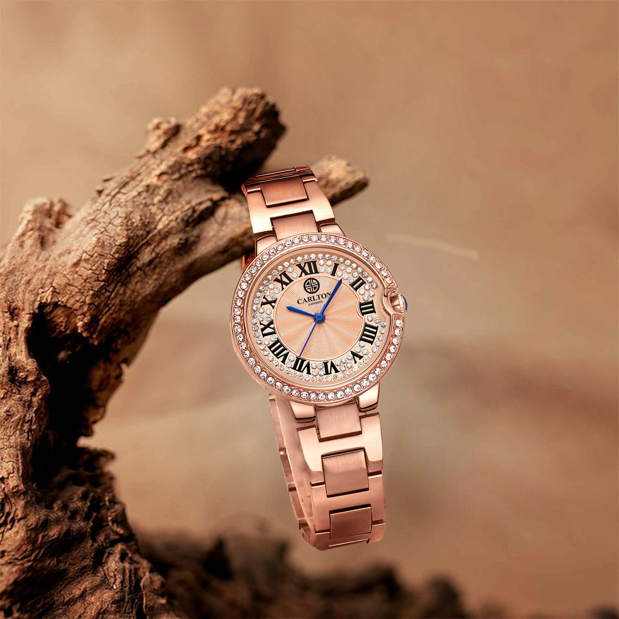 Charlotte : Rose Gold Stainless Steel Women Analog Watch