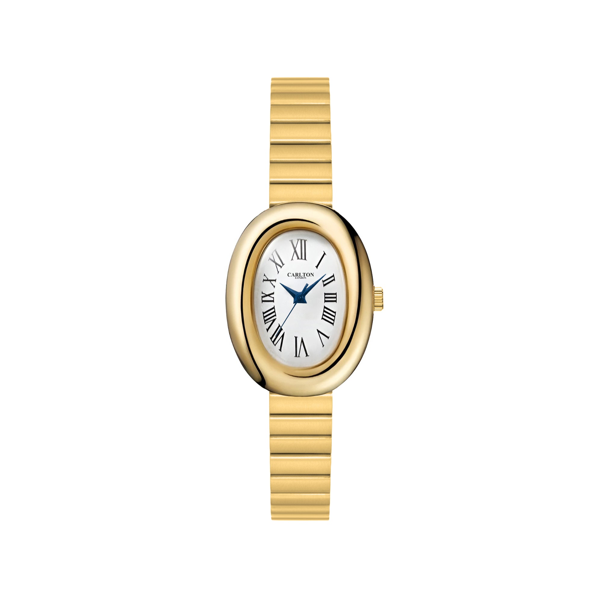 Carlton London Women Daphne Silver Analog Watch CL-DA-GW