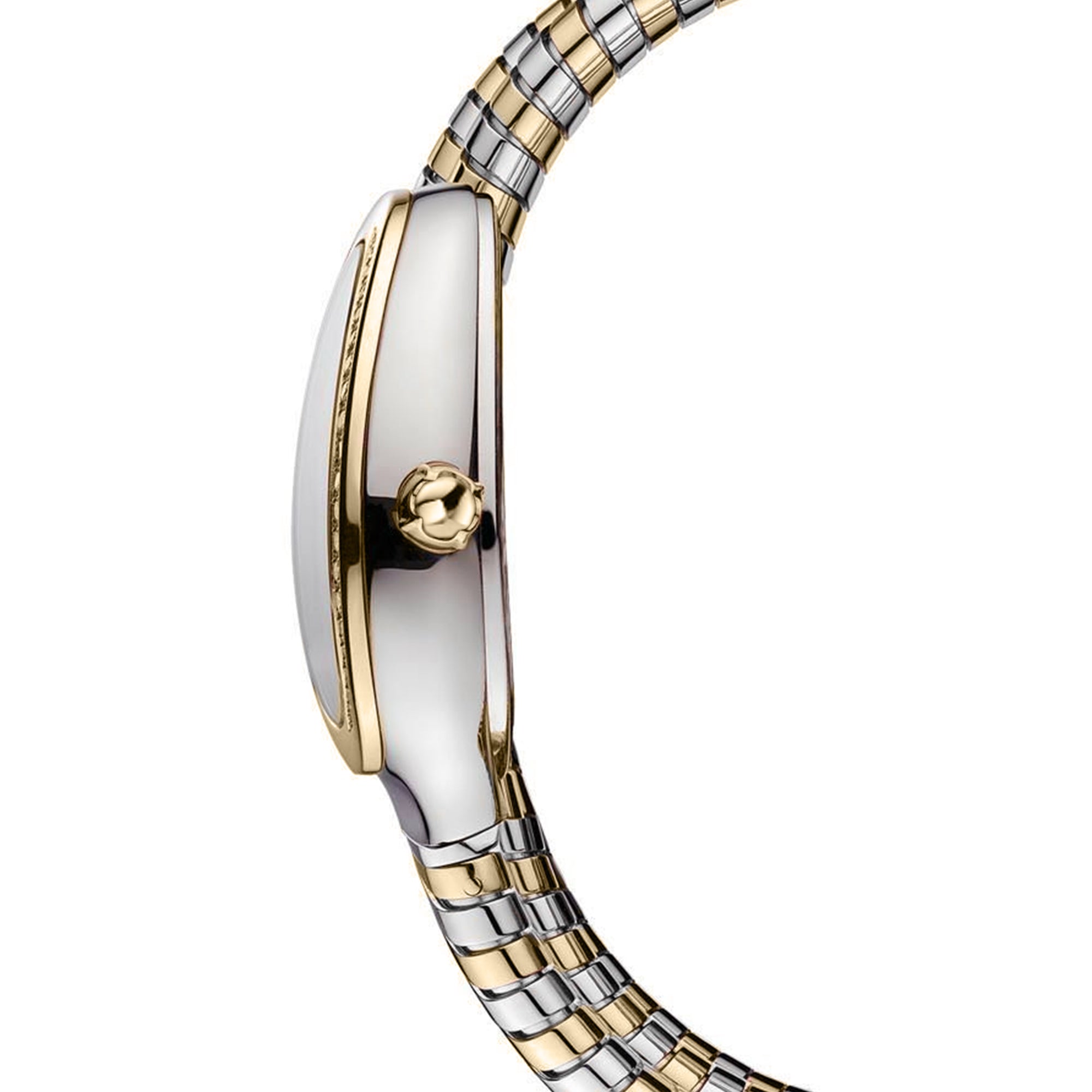 Carlton London Charmer Women Silver Dial Watch