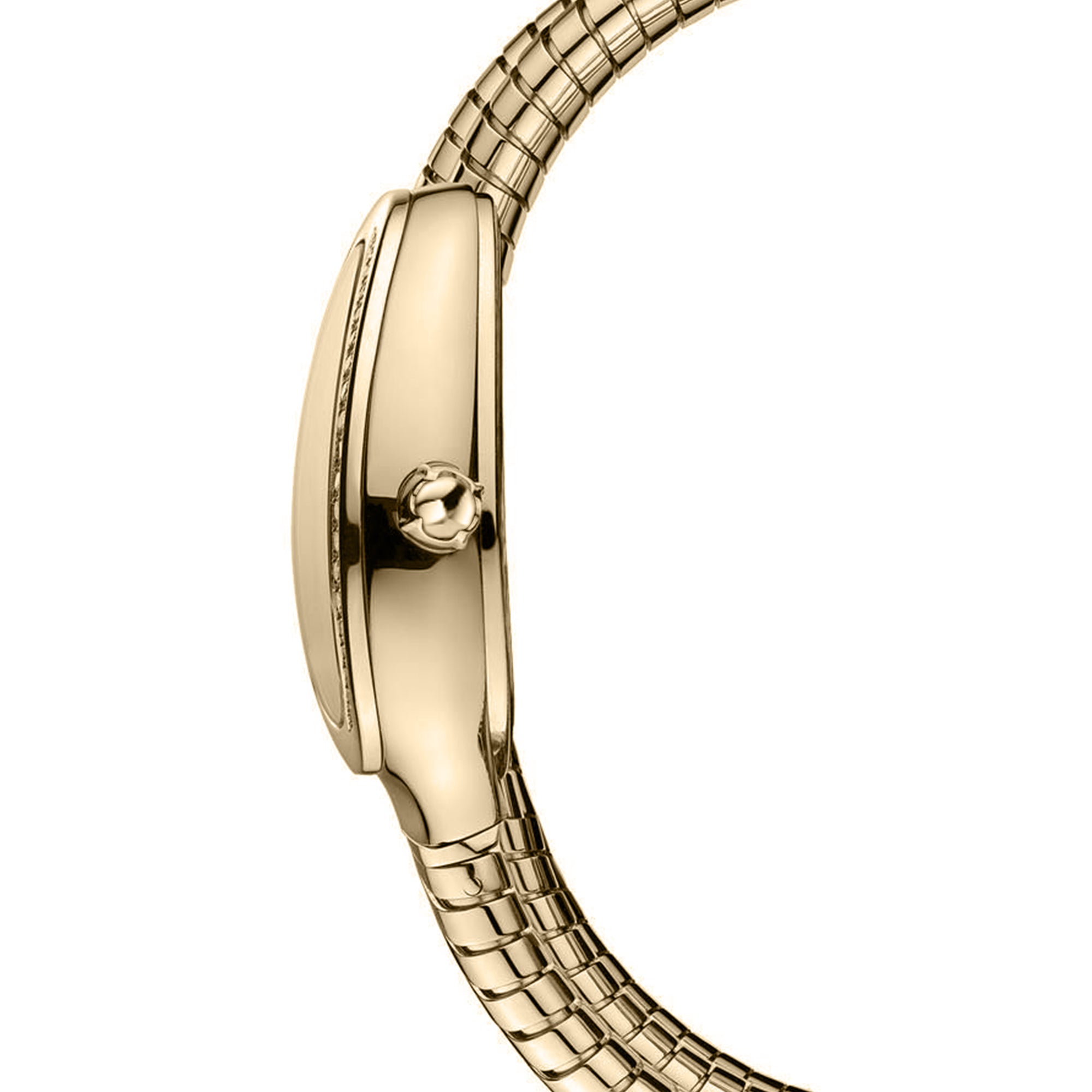 Carlton London Charmer Women Green Dial Watch