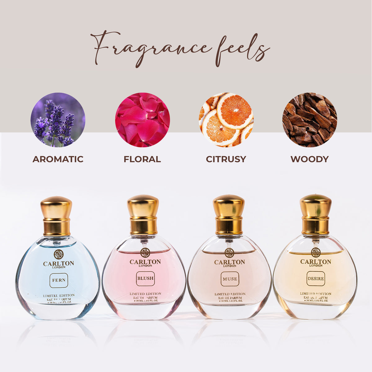 Euphoria: Pack of 4 Women's Eau de Parfum - CLPLG007