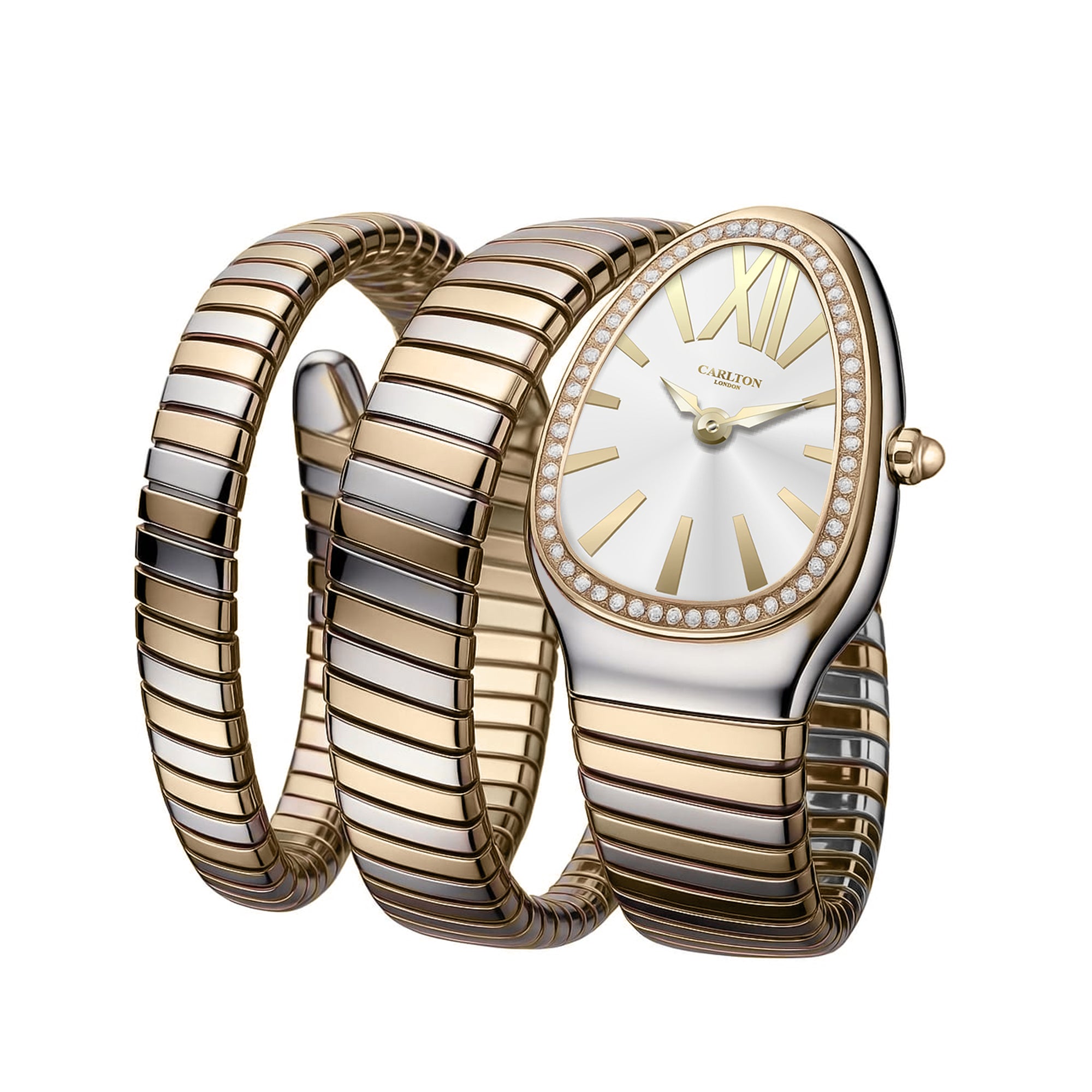 Carlton London Charmer Women Silver Dial Watch