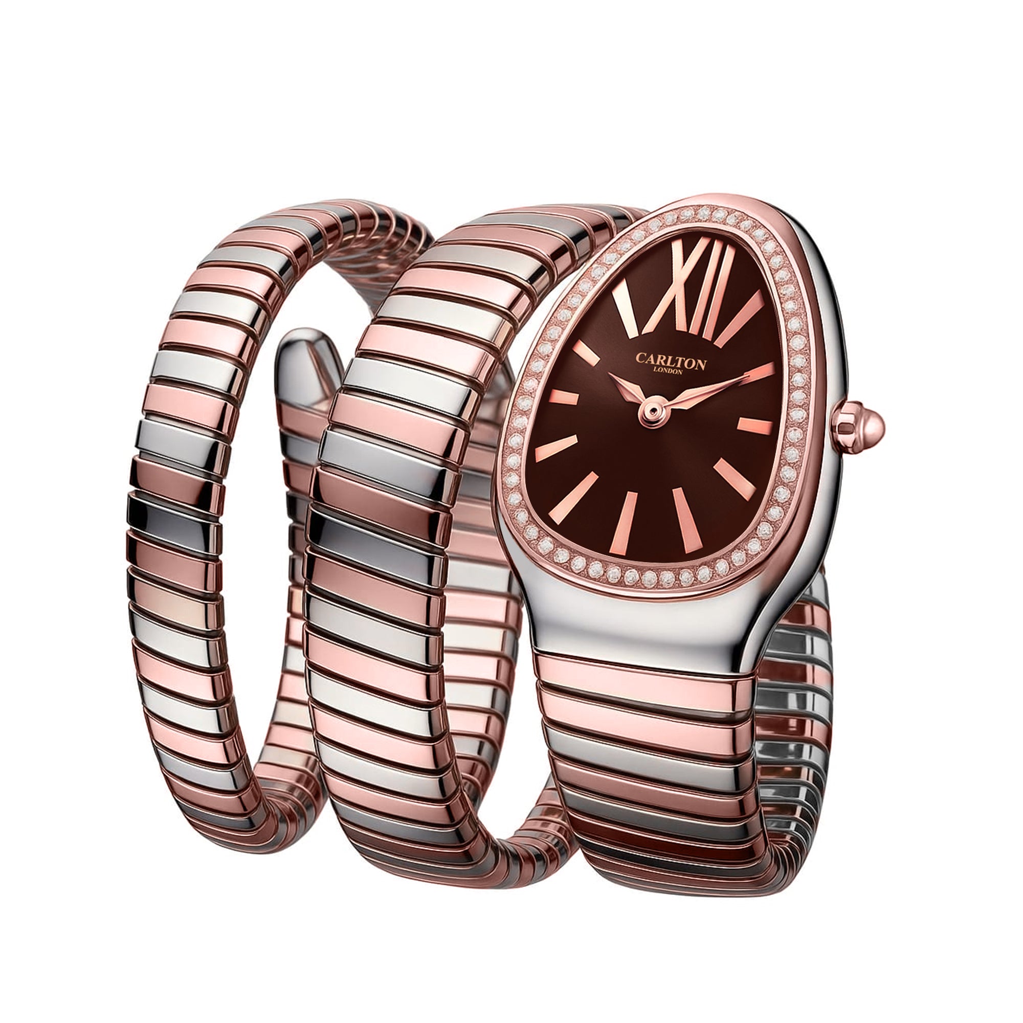 Carlton London Charmer Women Brown Dial Watch