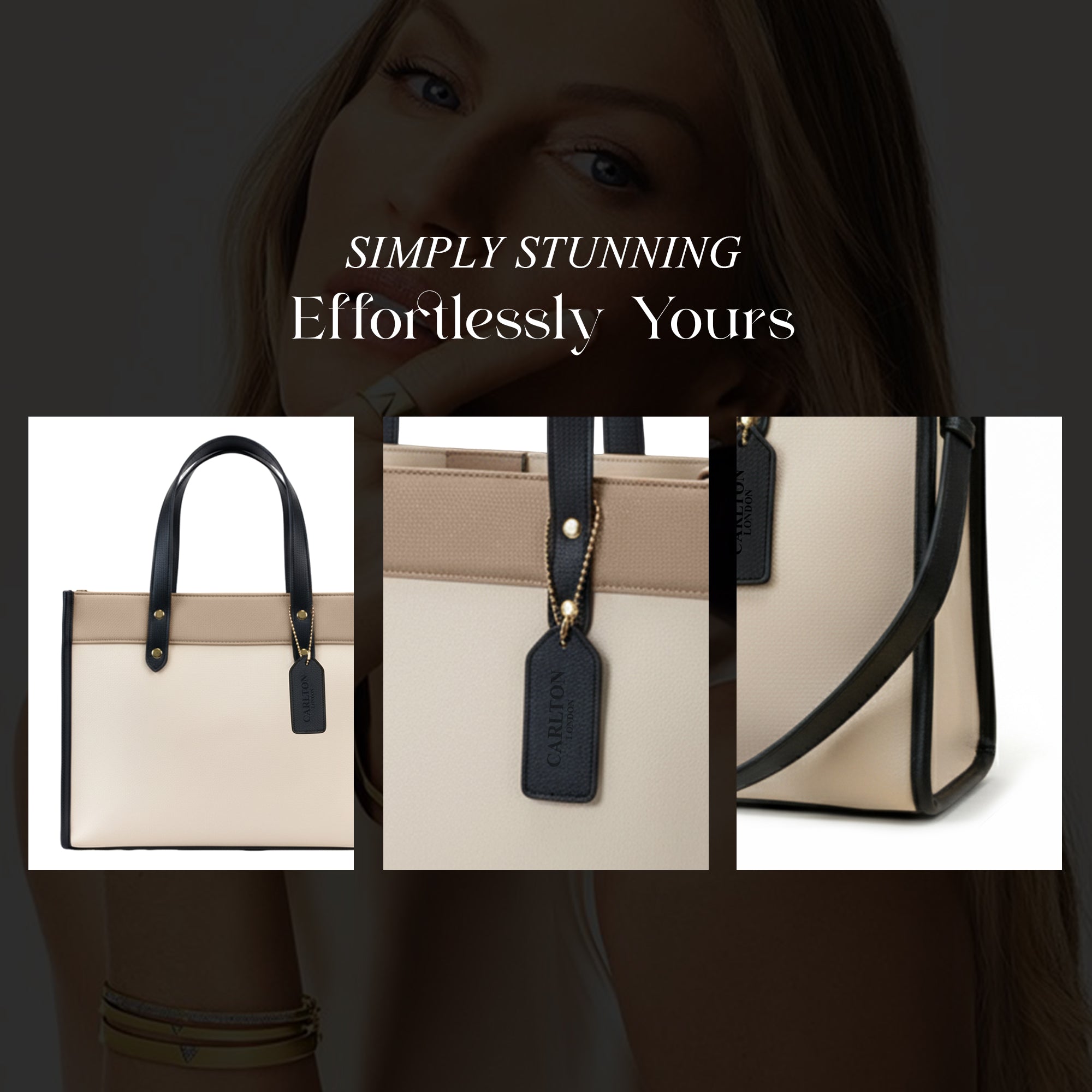 Carlton London Estella Multicolor Textured Tote Bag - CLHB-08