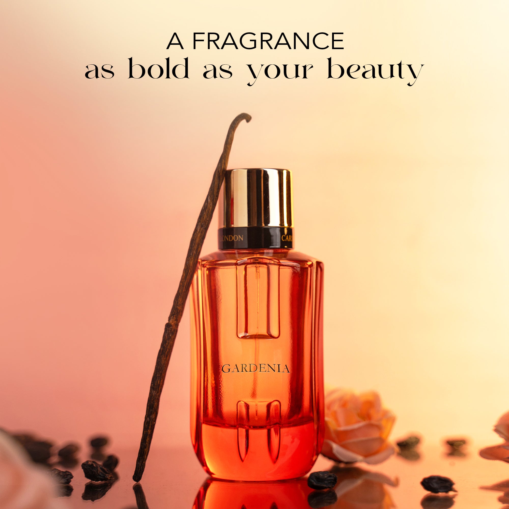 Gardenia : Carlton London Womens Perfume