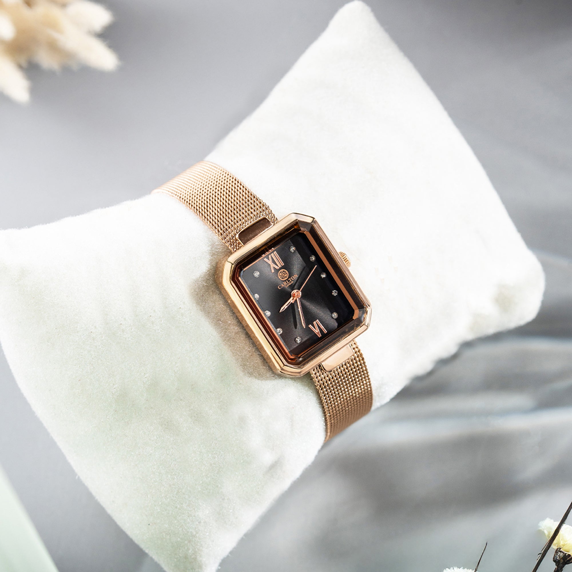 Brixton: Women's Gold/Black Analog Watch