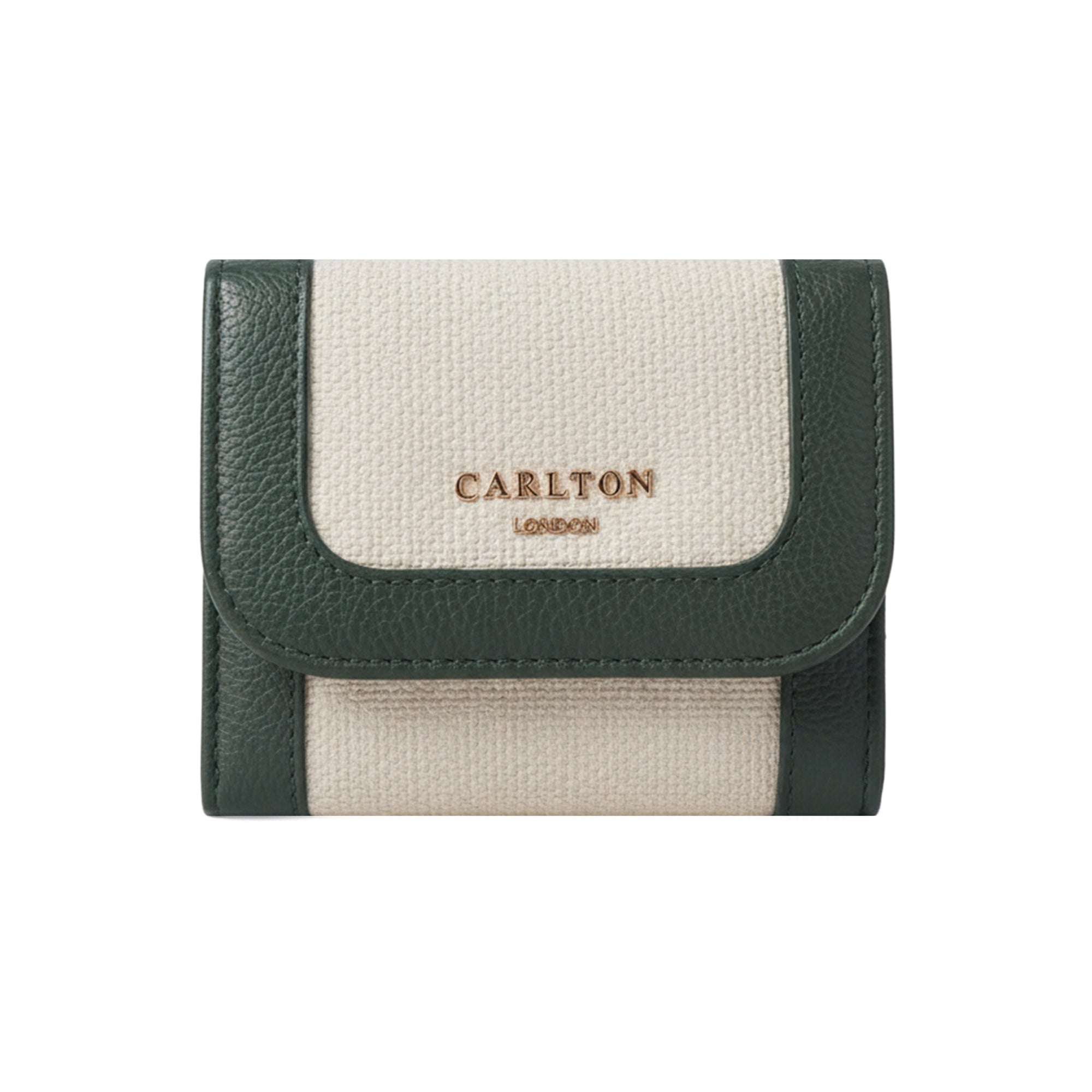 Carlton London Color blocked Textured Two Fold Wallet - Green