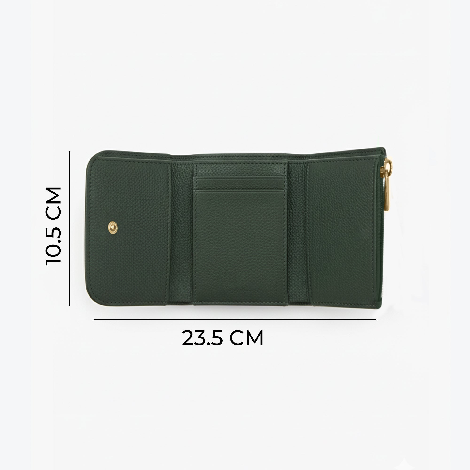 Carlton London Color blocked Textured Two Fold Wallet - Green