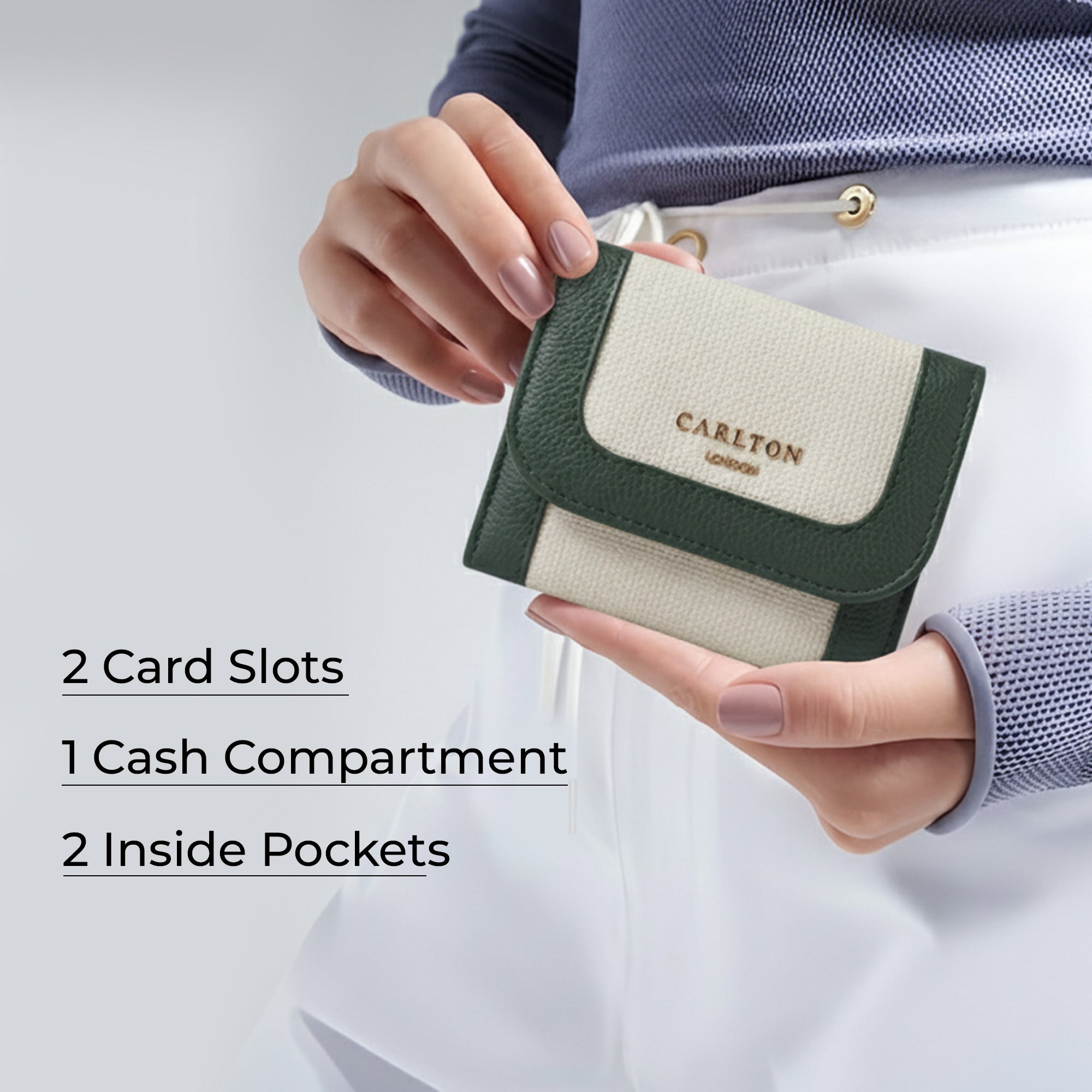 Carlton London Color blocked Textured Two Fold Wallet - Green