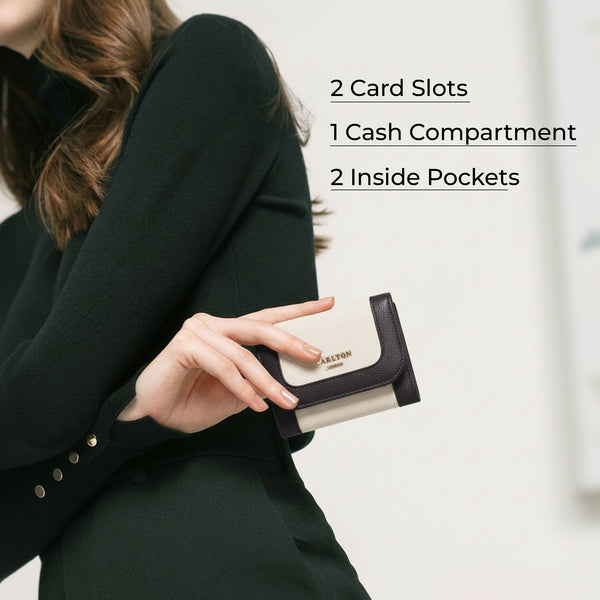 Carlton London Color blocked Textured Two Fold Wallet - Brown