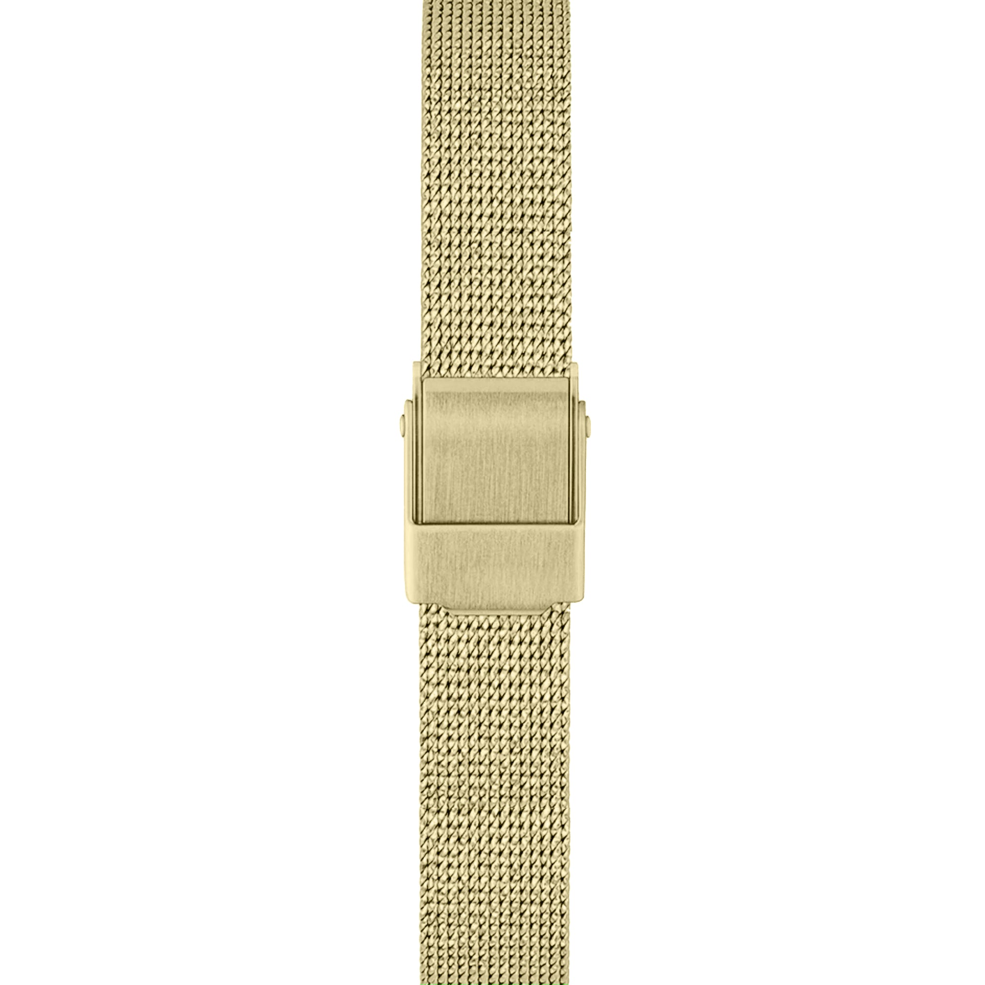Carlton London Diana Green Women Analog Watch
