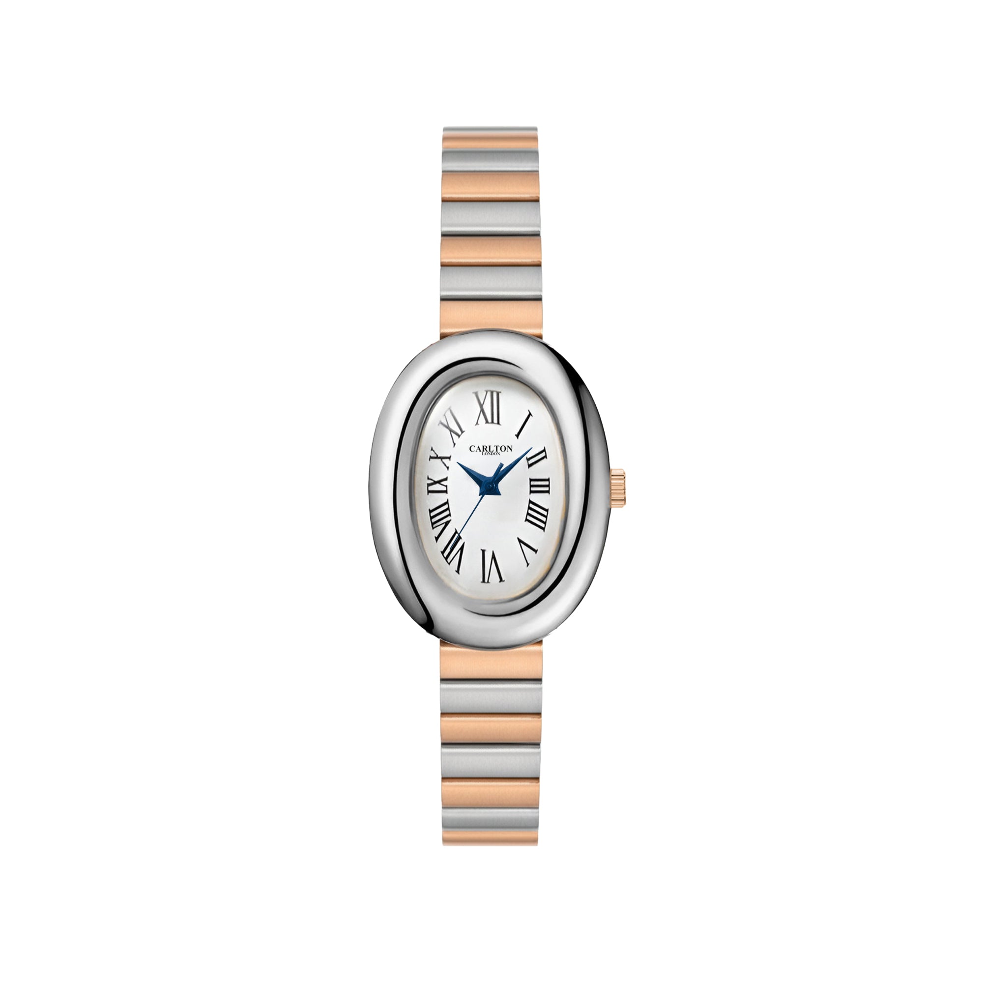 Carlton London Women Daphne Silver Analog Watch CL-DA-SW