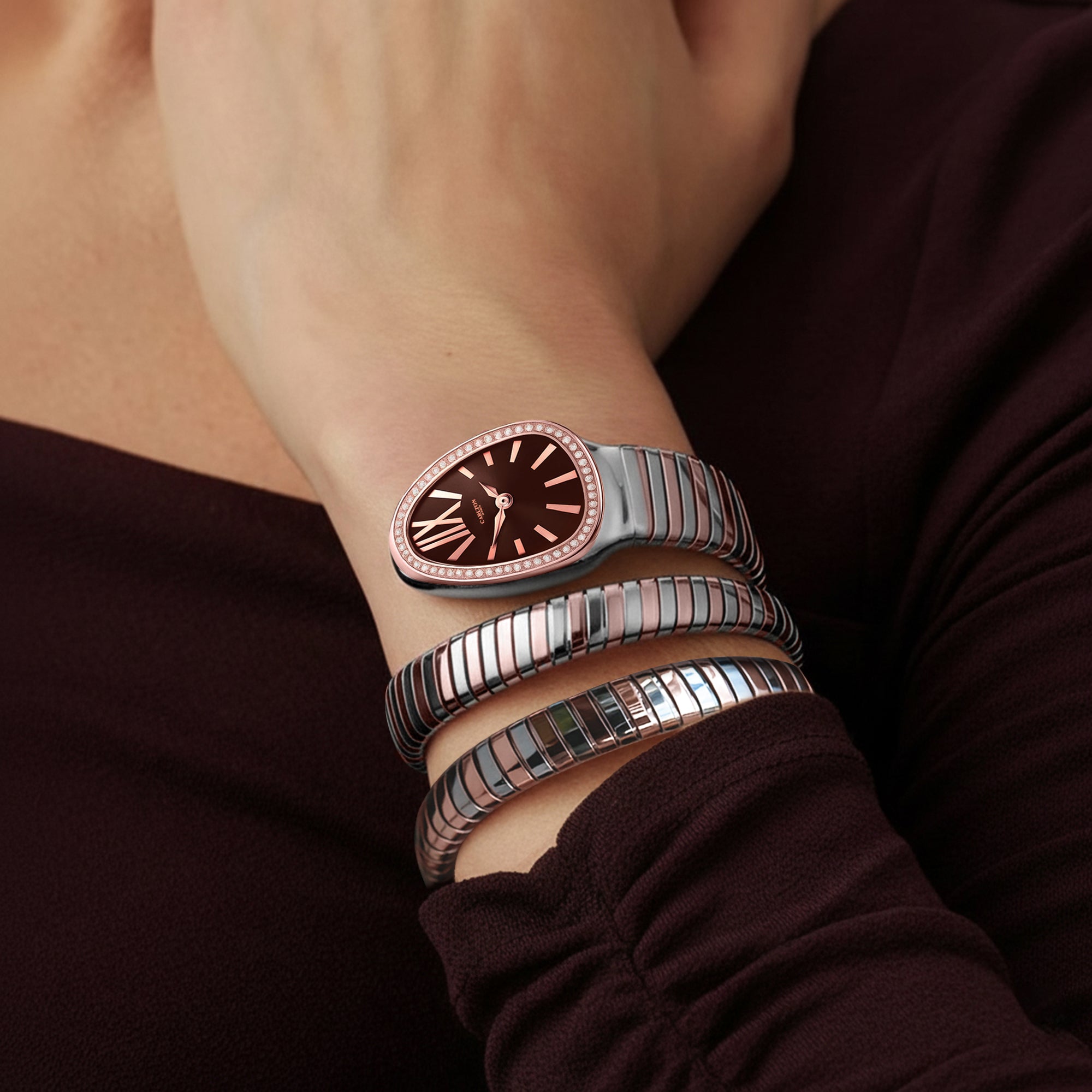 Charmer Women Brown Dial Watch - CLW-SNK-A4BR