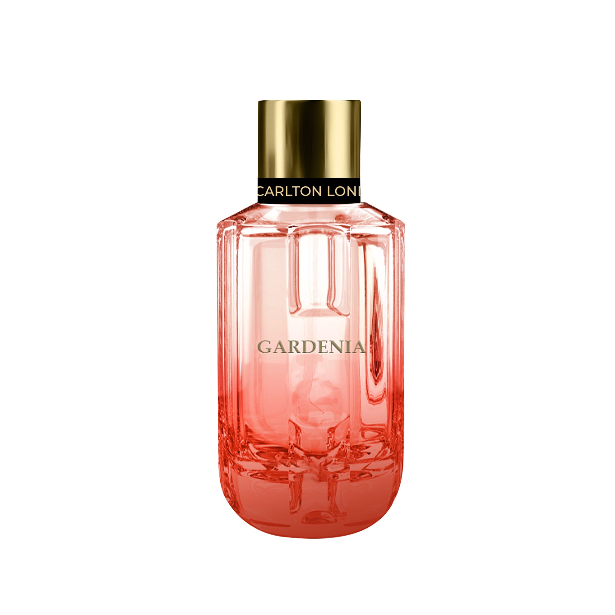 Gardenia : Carlton London Womens Perfume
