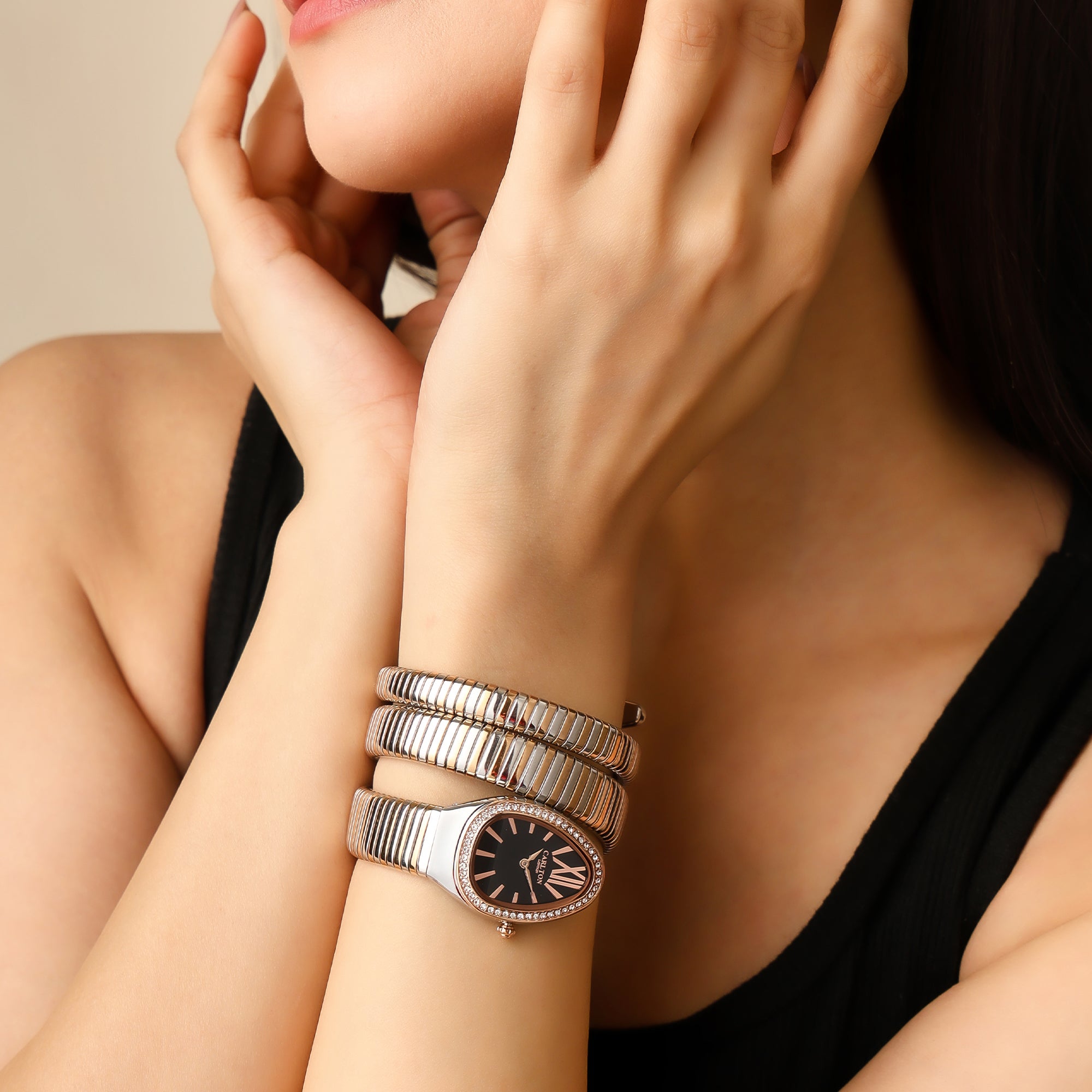 Charmer Women Black Dial Watch - CLW-SNK-A1BK