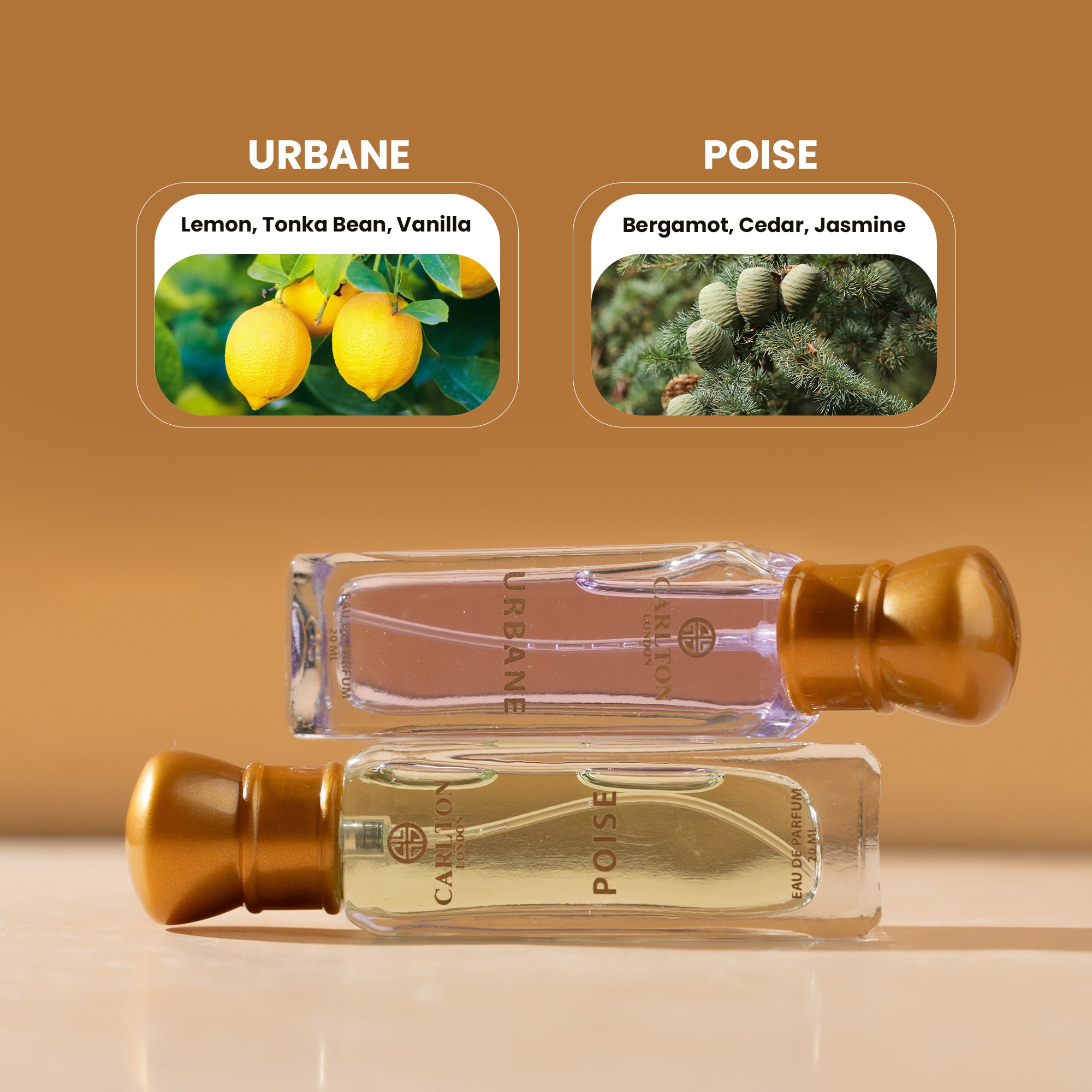 Carlton London Unisex Elite Gift (Set of 2 - 20ml Each)