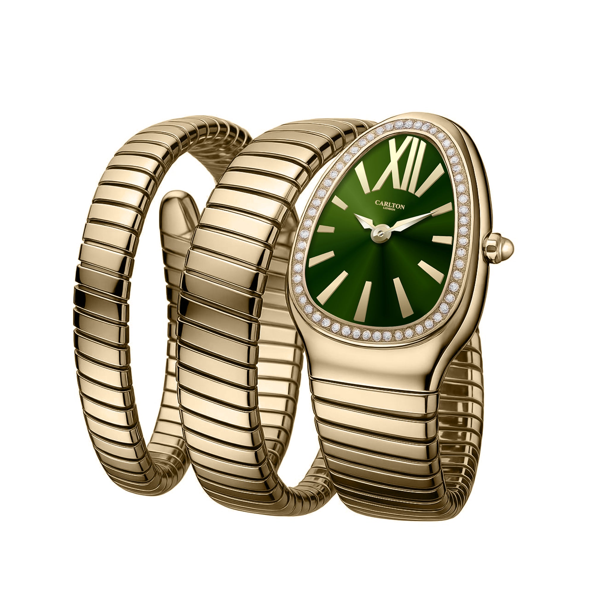 Carlton London Charmer Women Green Dial Watch