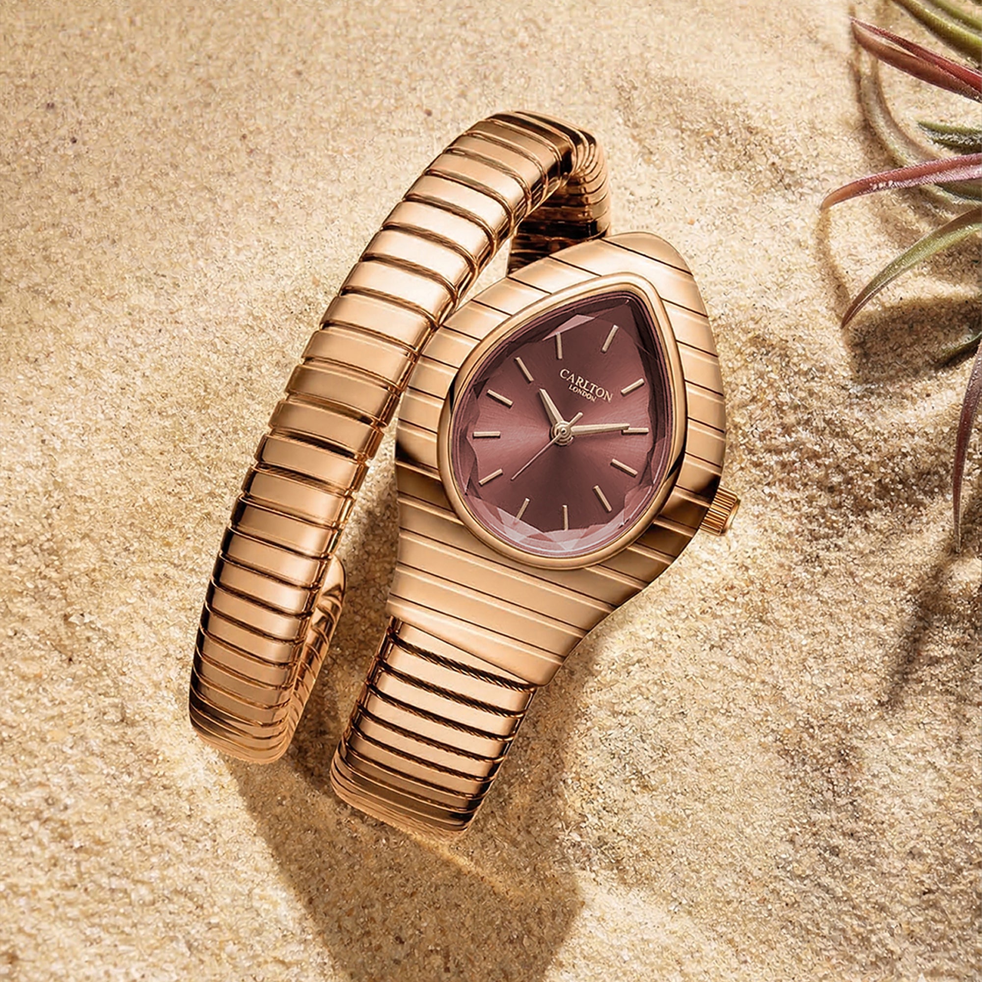 Carlton London Women Embrace Mocha Analog Watch - CL-EM-MOC