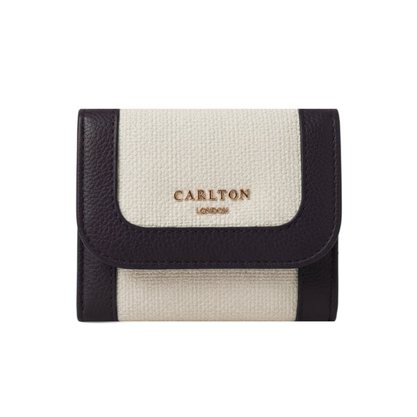 Carlton London Color blocked Textured Two Fold Wallet - Brown