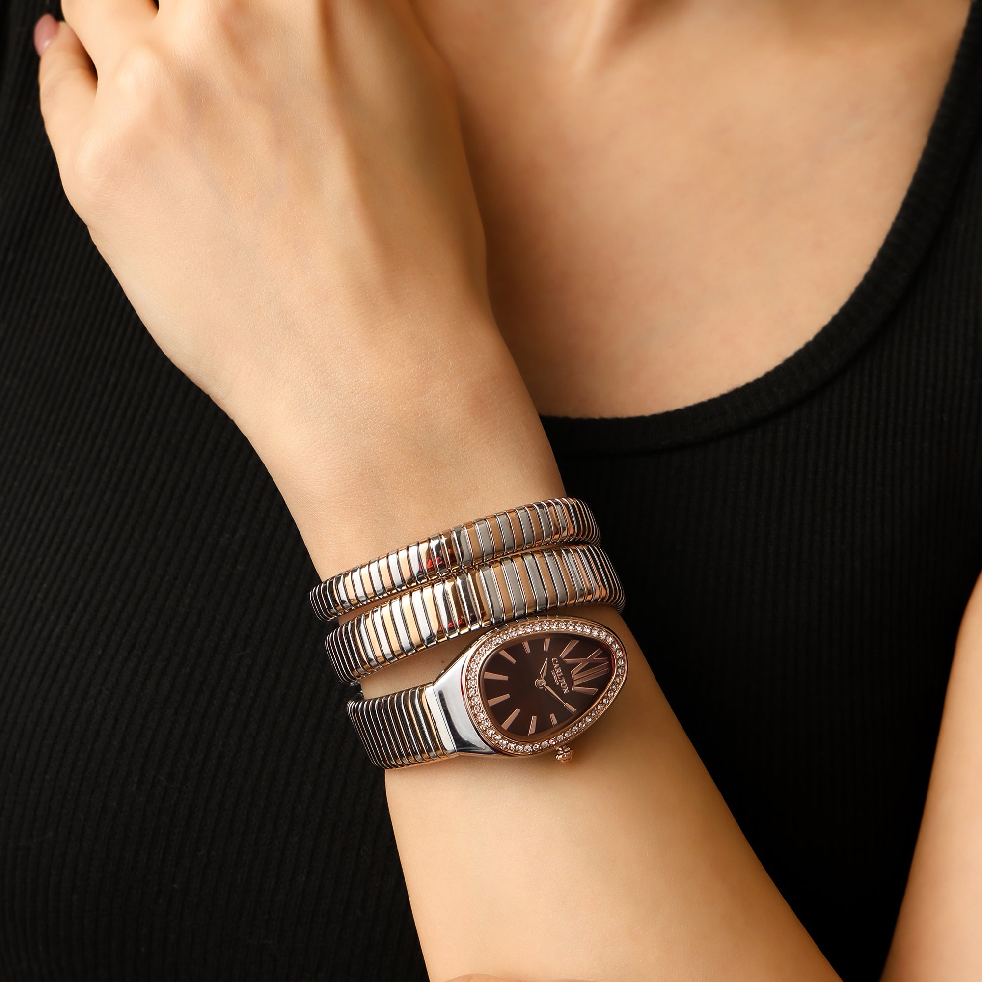 Charmer Women Brown Dial Watch - CLW-SNK-A4BR