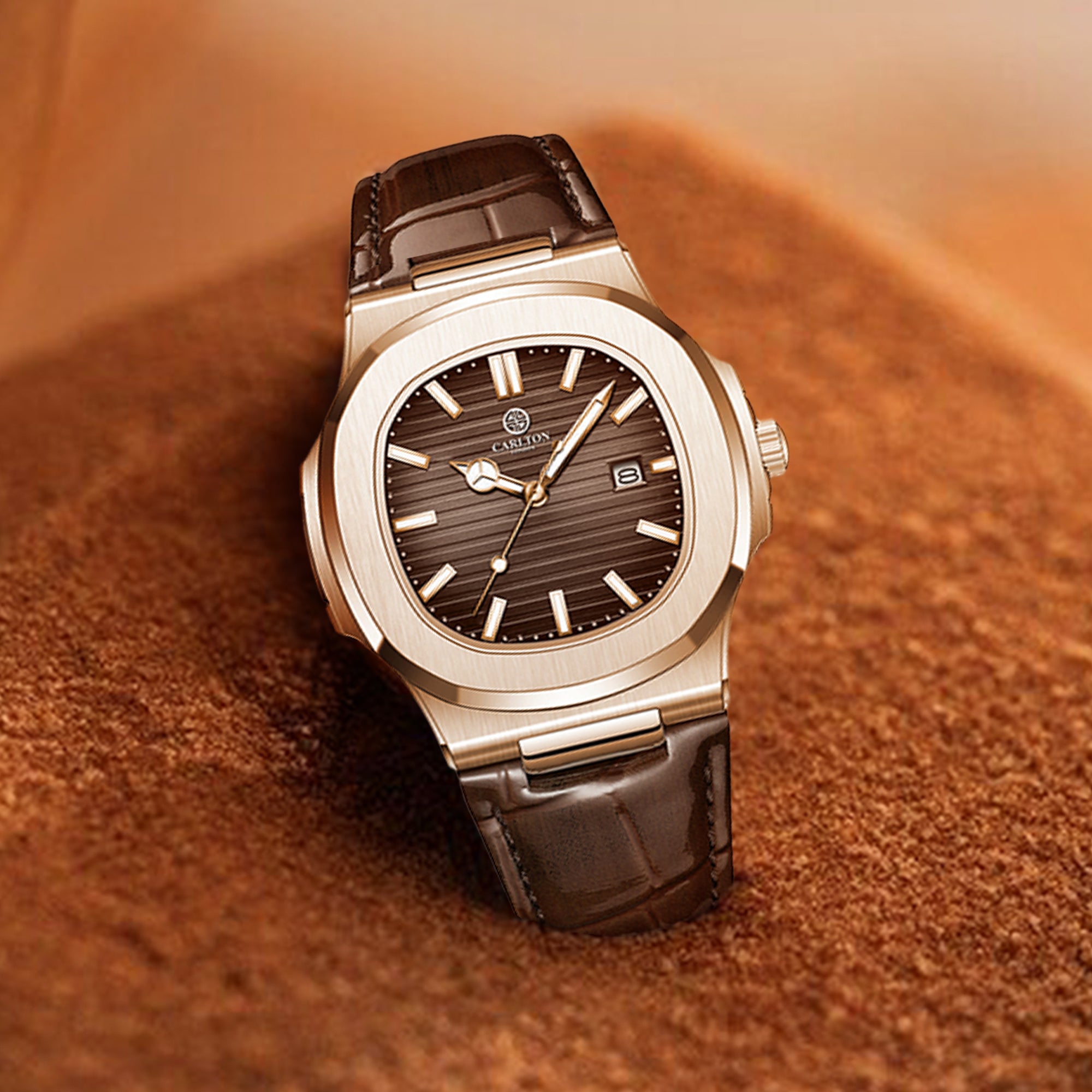Jordan Men Brown Leather Analog Watch
