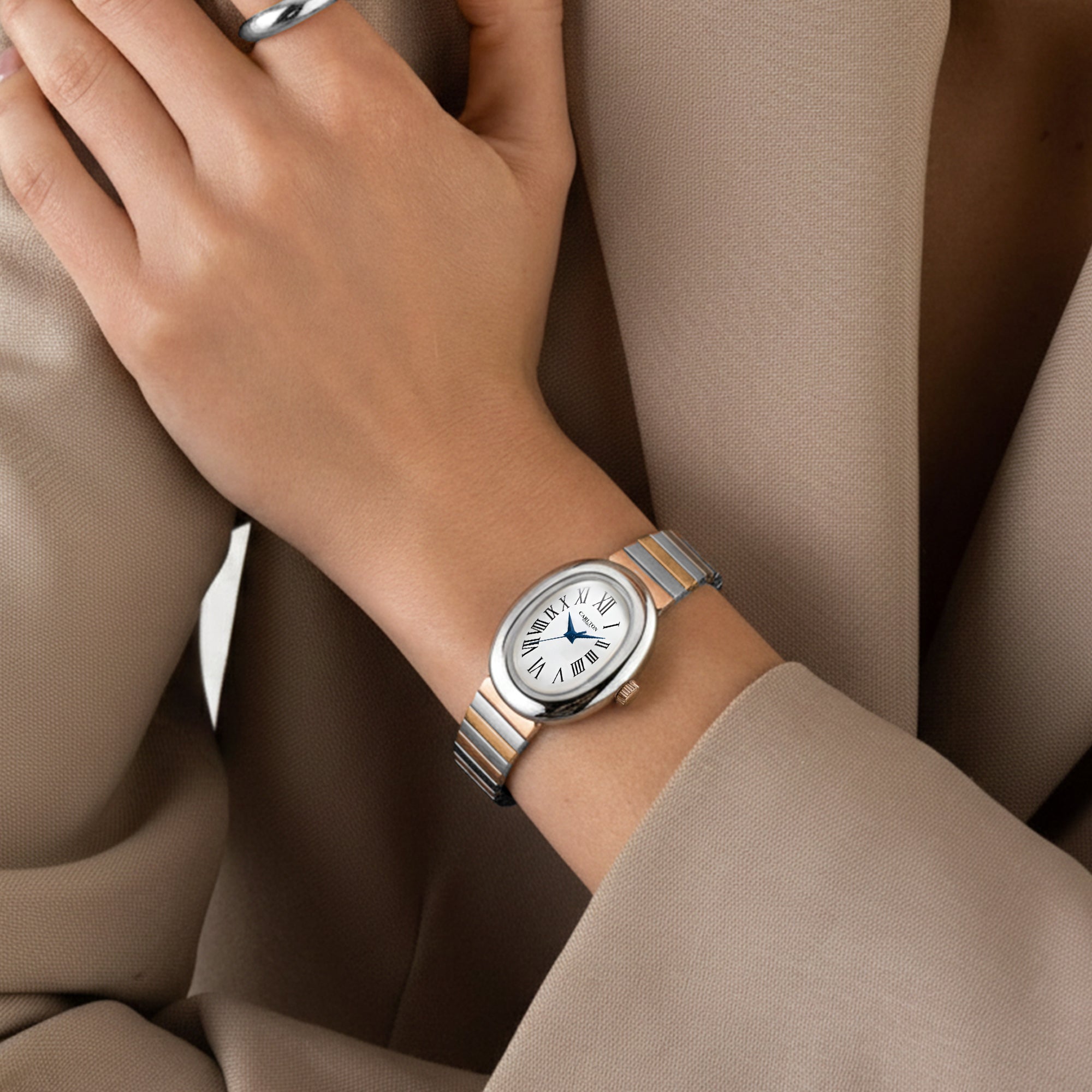 Carlton London Women Daphne Silver Analog Watch CL-DA-SW