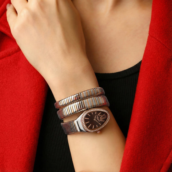 Charmer Women Brown Dial Watch - CLW-SNK-A4BR